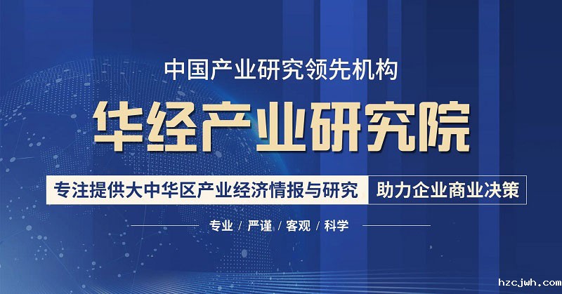2023-2028年中国电化铝行业市场全景评估及发展战略规划报告 